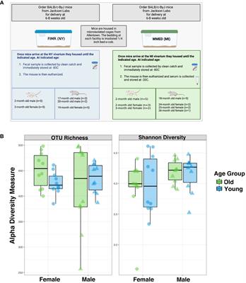Modulation of microbiome diversity and cytokine expression is influenced in a sex-dependent manner during aging